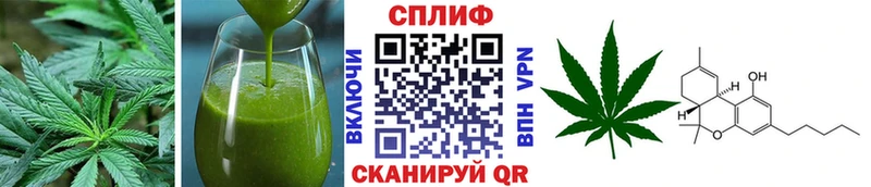 Cannafood конопля  Бакал 