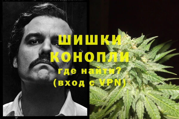 шишки Алексин