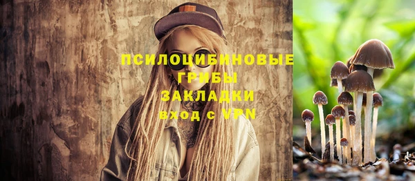 соль ск Алзамай