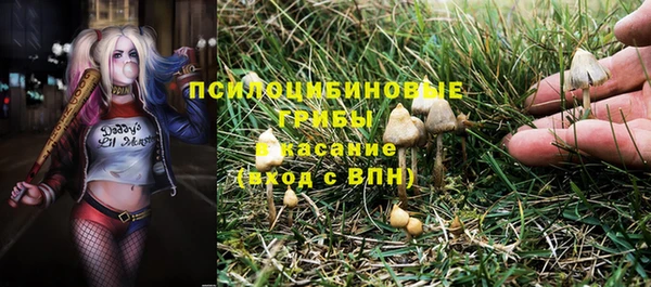 шишки Алексин