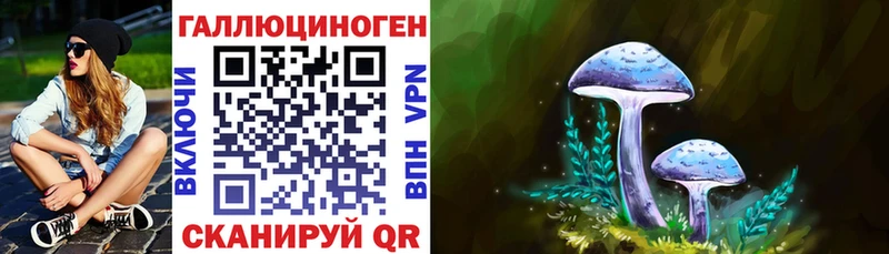Псилоцибиновые грибы мицелий  MEGA как войти  Бакал 
